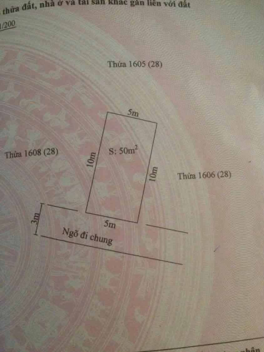 Bán đất 50m² Cát Linh 1,4 tỷ - Ảnh thu nhỏ 3