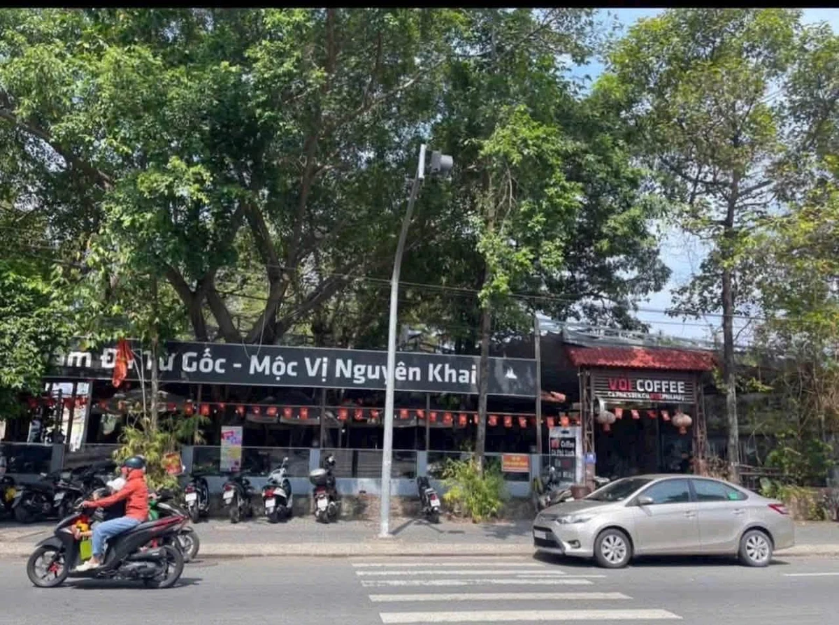 Bán đất mặt tiền Đoàn Thị Liên Thủ Dầu Một 118.8m² 5 tỷ 450 triệu - Ảnh thu nhỏ 2