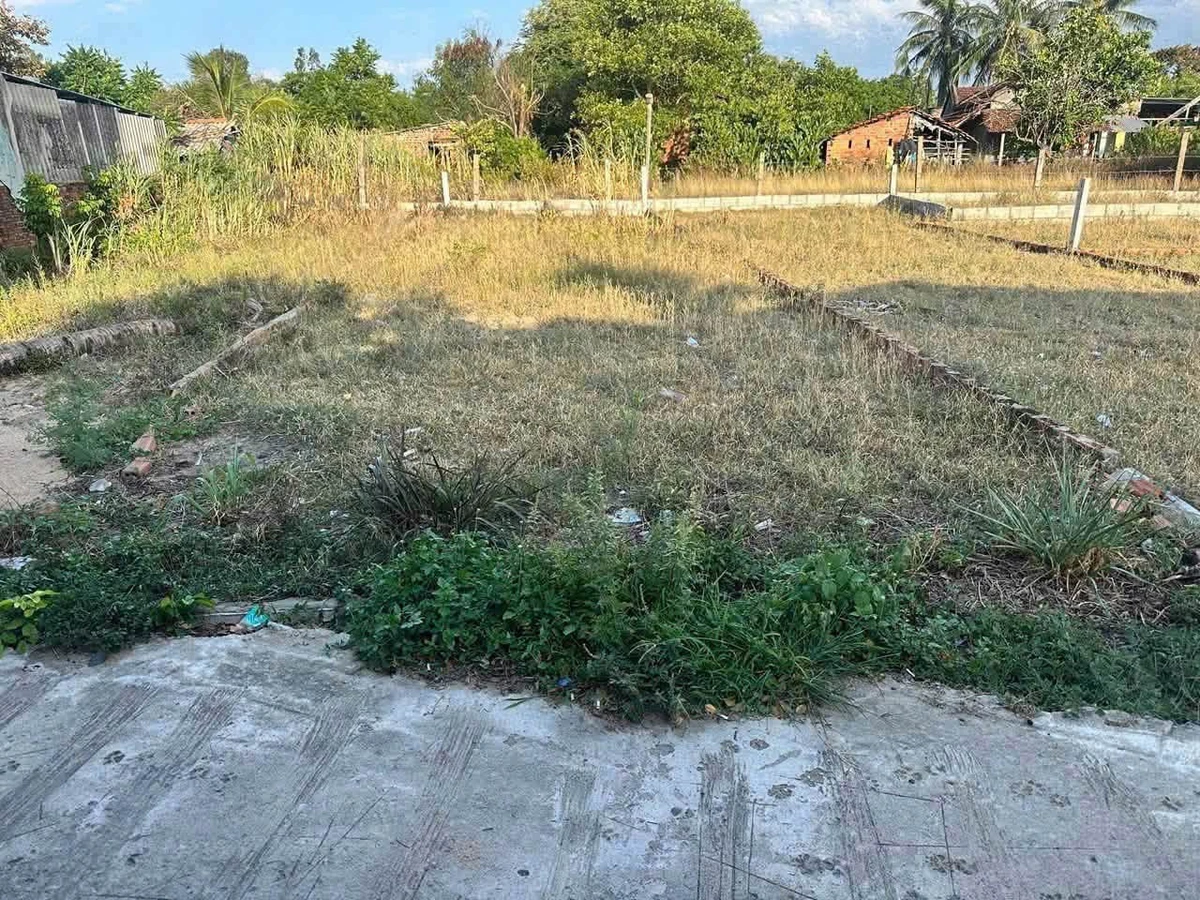 Bán đất 100m² đường ô tô 5 chỗ Bình Chánh 5.5 tỷ - Ảnh thu nhỏ 2