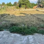 Bán đất 100m² đường ô tô 5 chỗ Bình Chánh 5.5 tỷ - Ảnh thu nhỏ 2