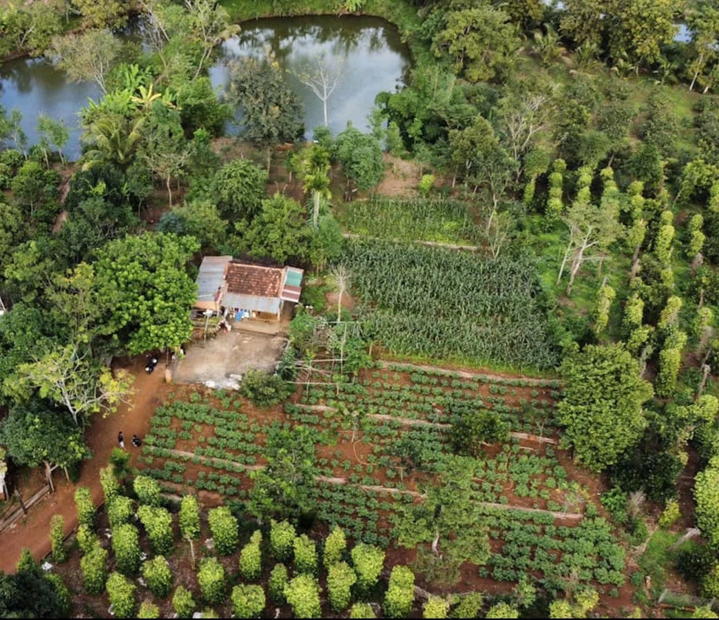 Bán đất vườn sinh thái 3.866 m² Ea Kao Buôn Ma Thuột - Ảnh thu nhỏ 2