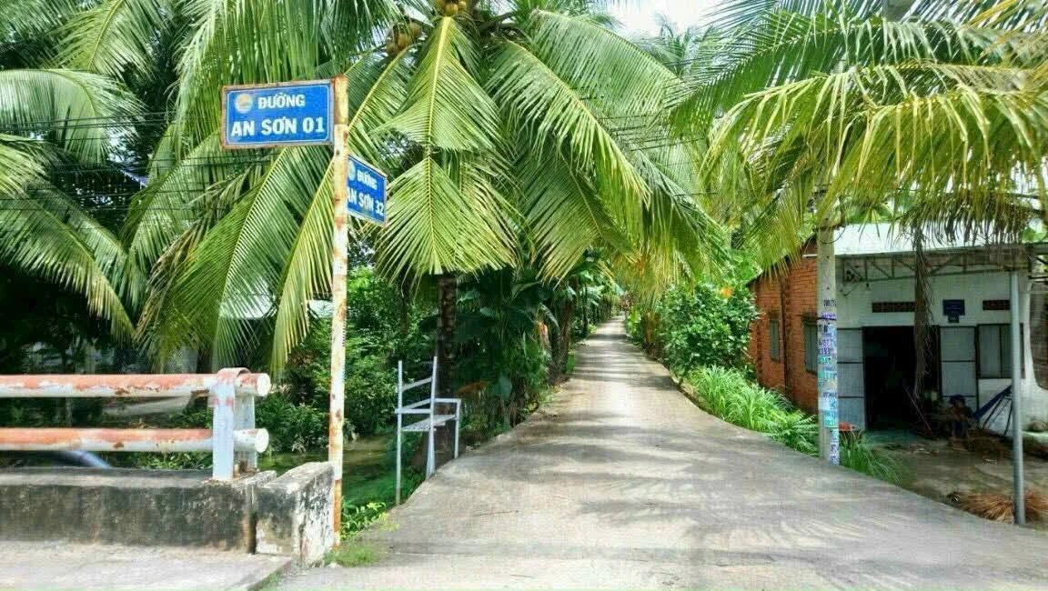 Bán đất mặt tiền An Sơn 32, 500 m2, Nhà Bè, 4,6 tỷ - Ảnh 1