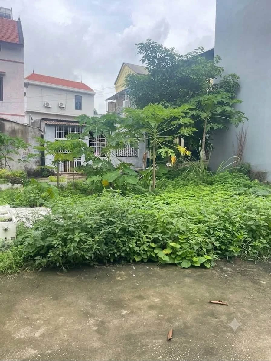 Bán đất Cái Dăm Bãi Cháy 55.4m² - 3.1 tỷ - Ảnh 1