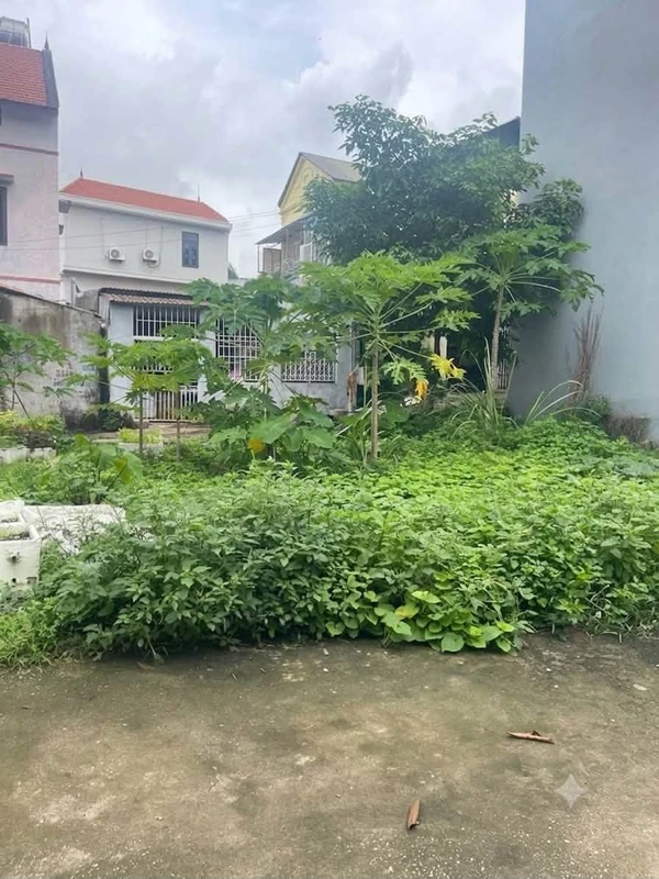 Bán đất Cái Dăm Bãi Cháy 55.4m² - 3.1 tỷ