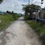 Bán đất lúa 1300m² giá 370 triệu/1000m² Tân Lân - Ảnh thu nhỏ 2