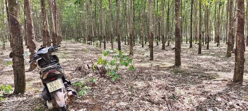 Bán 3.6ha đất Tân Hòa Đồng Phú 12 tỷ mặt tiền ô tô