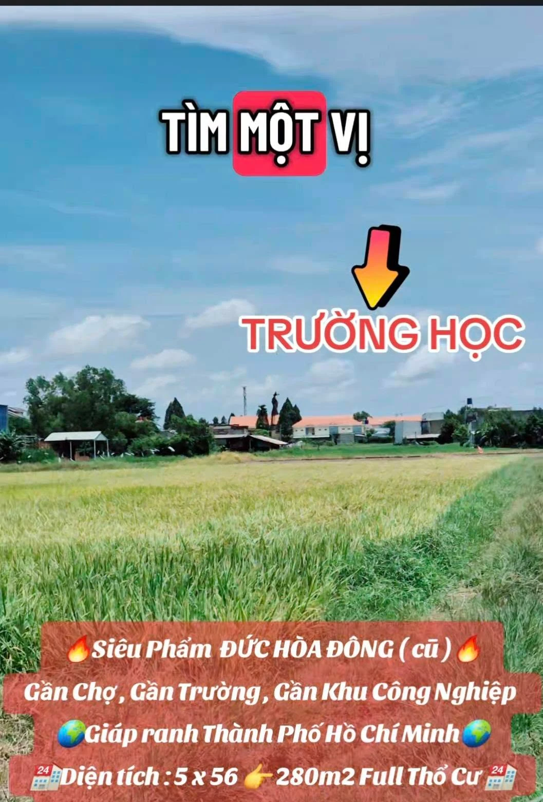 Bán đất thổ cư 280m2 sổ hồng riêng mặt tiền đường bê tông 5m, Xã Mỹ Hạnh, Tây Ninh - Ảnh 1