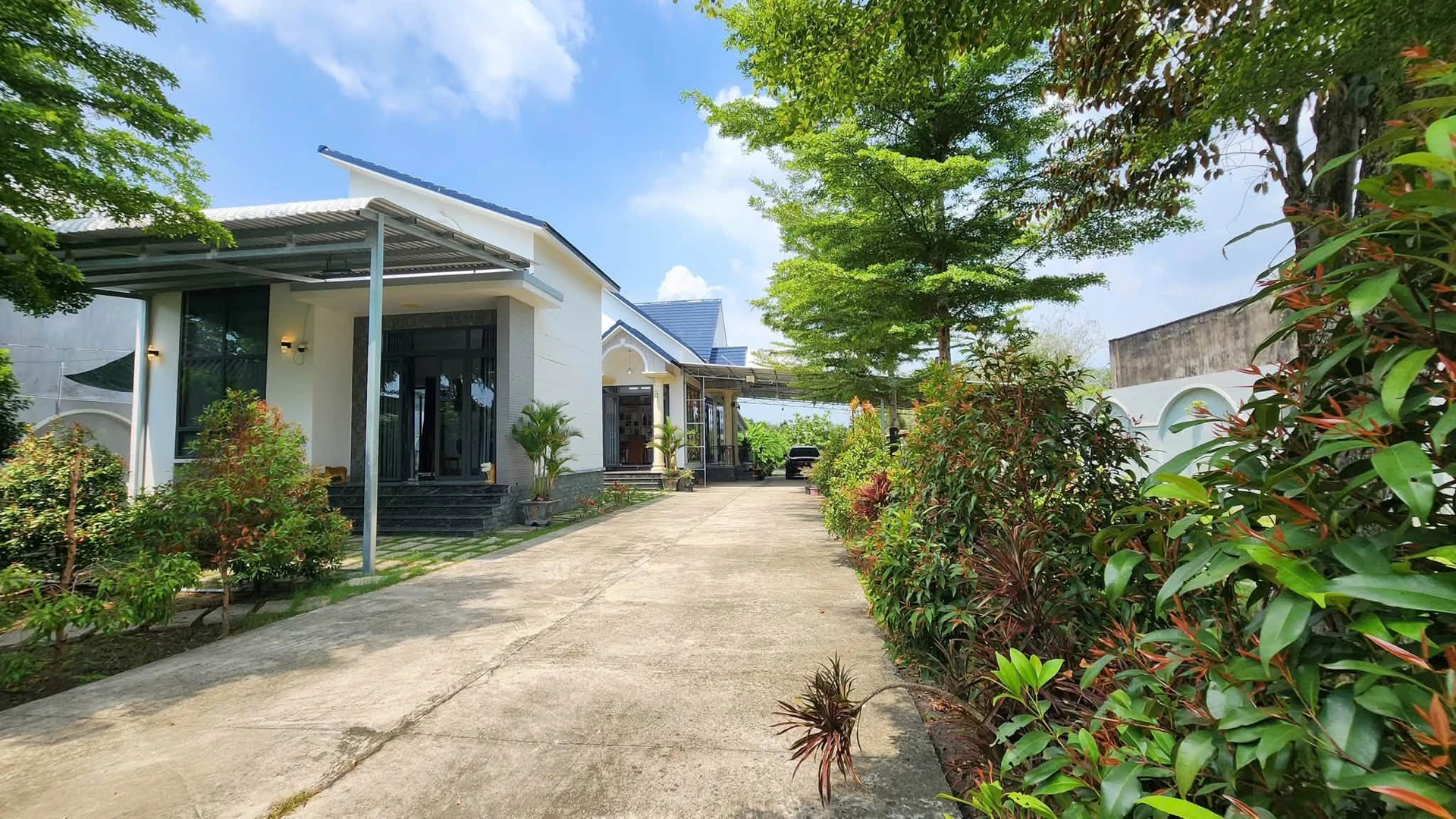 Bán nhà vườn 240m² tại Lộc Giang 6,3 tỷ, full nội thất - Ảnh 1