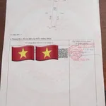 Bán đất thổ cư 150m² hẻm Đặng Văn Truyện, Tân An, Long An - Ảnh thu nhỏ 5