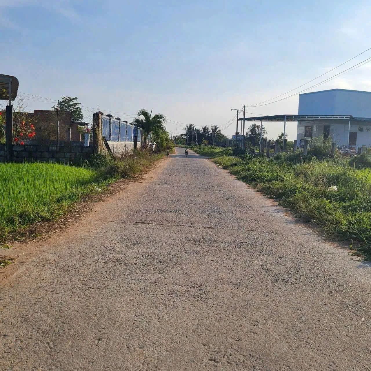 Bán 446m² đất thổ cư Hàm Phú, Bình Thuận - Ảnh 1