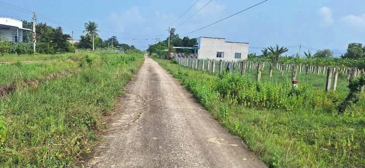 Bán lô đất 1149m2 Xã Hàm Liêm, Lâm Đồng 600 triệu - Ảnh 1