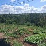 Bán đất Lộc Châu Bảo Lộc 2 lô mặt tiền Lê Thị Riêng, view thung lũng, đất ở sẵn - Ảnh thu nhỏ 8