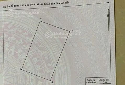 Chính chủ bán đất Hải Quân Tam Giang Bắc Ninh 240m giá mong muốn 33tr/m2 thương lượng, sổ đỏ sẵn - Ảnh 1