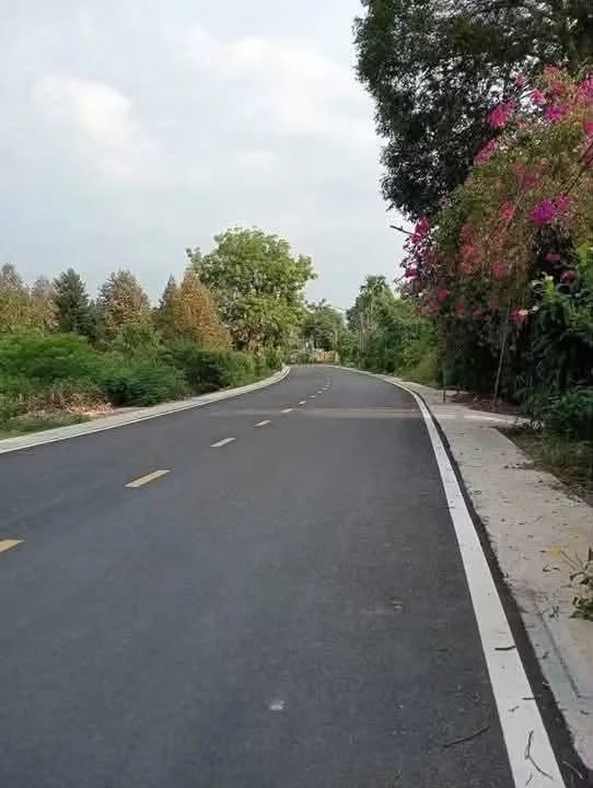 Bán 2 lô đất trục đường 12m Phú An, Bình Dương, giá 1tỷ800 - Ảnh thu nhỏ 3