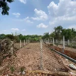 Bán đất mặt tiền Lê Thị Do 116,8m2 thổ cư, Thái Mỹ, Củ Chi, giá 1,6 tỷ - Ảnh thu nhỏ 5