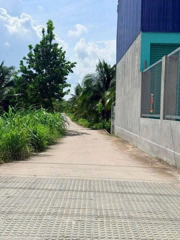 Bán đất Phú Khương, Bến Tre 745m² sổ hồng riêng - Ảnh thu nhỏ 5