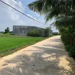 Bán nhà cấp 4 đất thổ vườn 145m² Đức Hòa Long An 750 triệu - Ảnh thu nhỏ 4