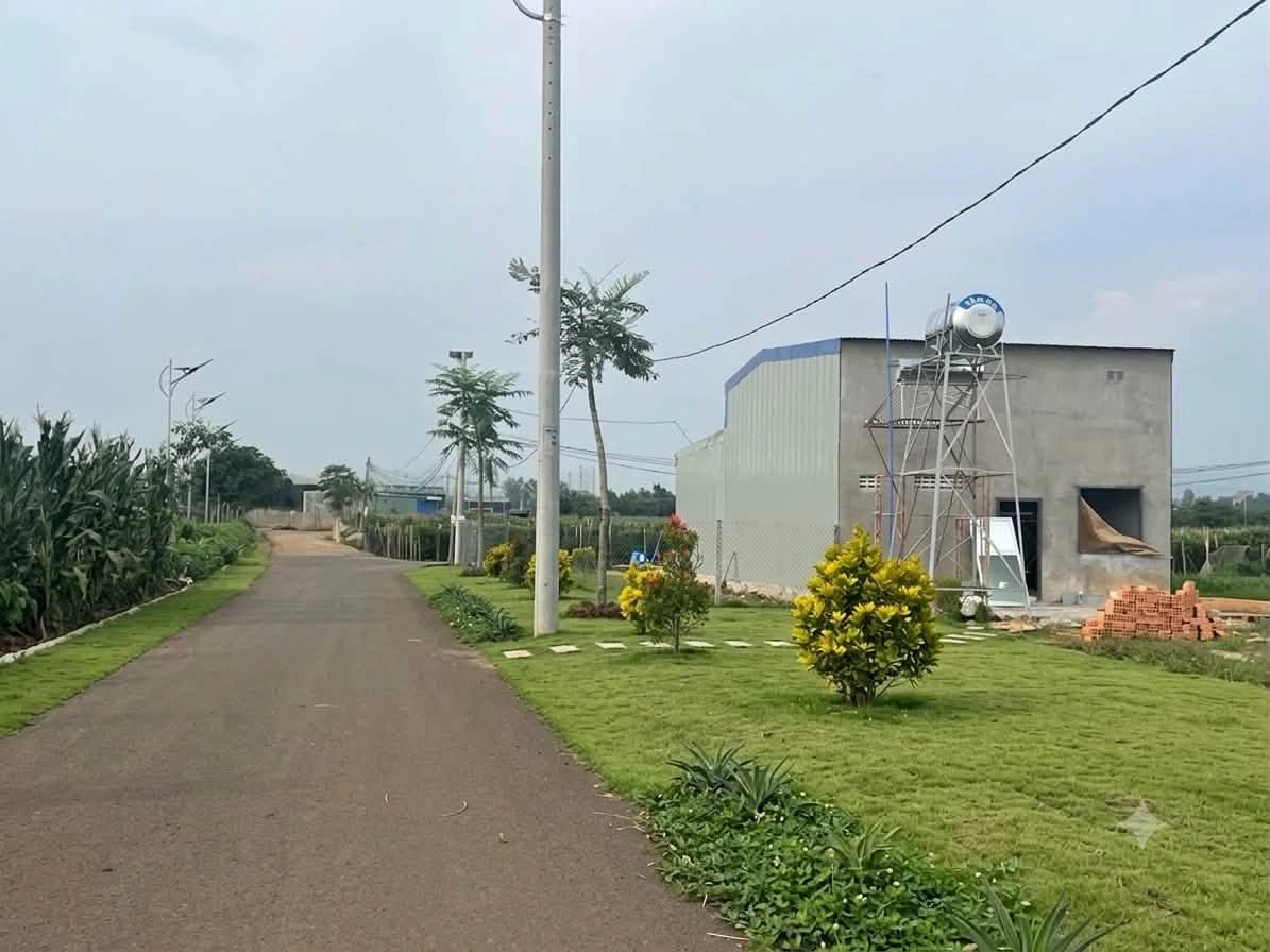 Bán lô góc 2 mặt tiền 200m² Bình Thạnh 730 triệu - Ảnh thu nhỏ 3