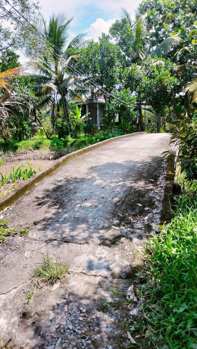 Bán đất vườn sầu riêng Thái 1500m2 tại Tiên Long, Tân Phú giá 820 triệu - Ảnh 1