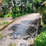 Bán đất vườn sầu riêng Thái 1500m2 tại Tiên Long, Tân Phú giá 820 triệu - Ảnh thu nhỏ 1