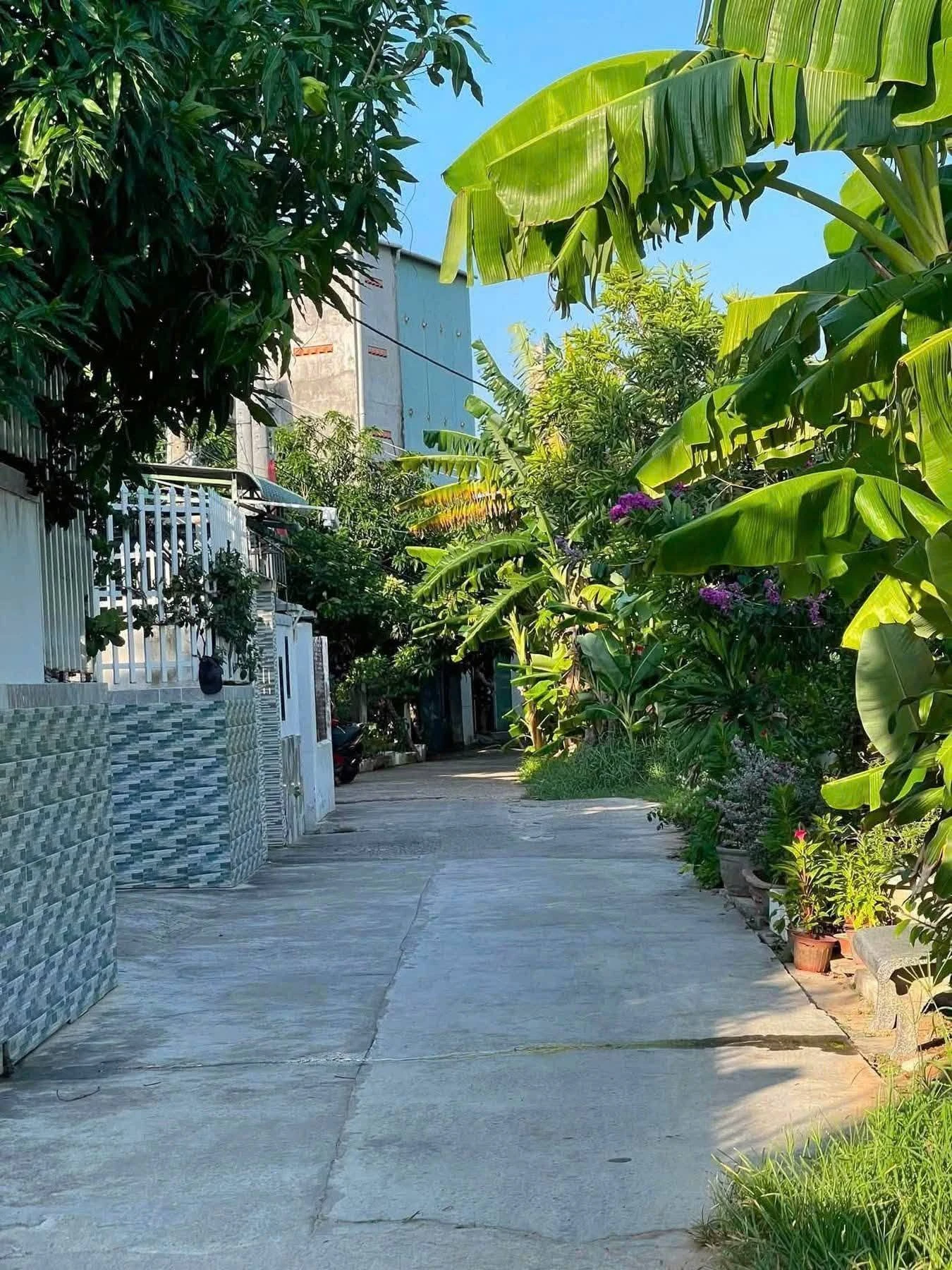 Bán lô đất 100m2 Võ Liêm Sơn Phan Thiết - Ảnh 1
