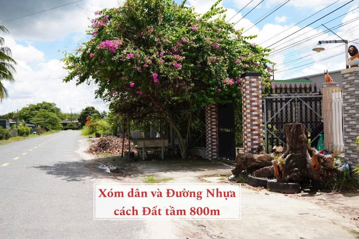 Bán đất 20x50m Phường Bình Minh Tây Ninh 259 triệu - Ảnh thu nhỏ 4