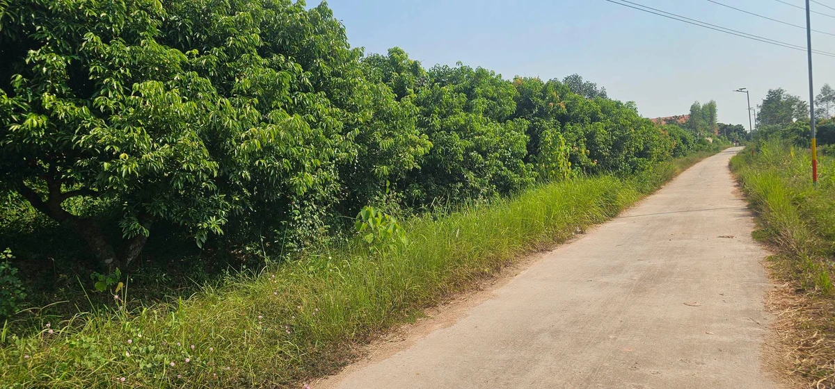 Bán mảnh vườn 2230 m2 tại Yên Thế, Bắc Ninh - Ảnh thu nhỏ 2
