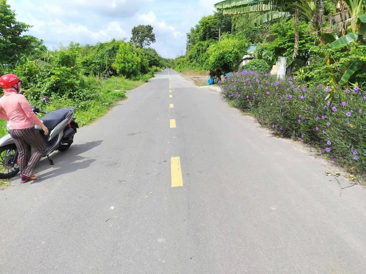 Bán đất mặt tiền đường Bến Đình 2164m2 xã An Nhơn Tây, Củ Chi giá 5 tỷ - Ảnh thu nhỏ 4