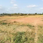 Chính chủ bán gấp 5600m2 đường Tỉnh 881 nhựa 10m, cách Phà Mỹ An 1km,giá 1tr160/m2 - Ảnh thu nhỏ 9