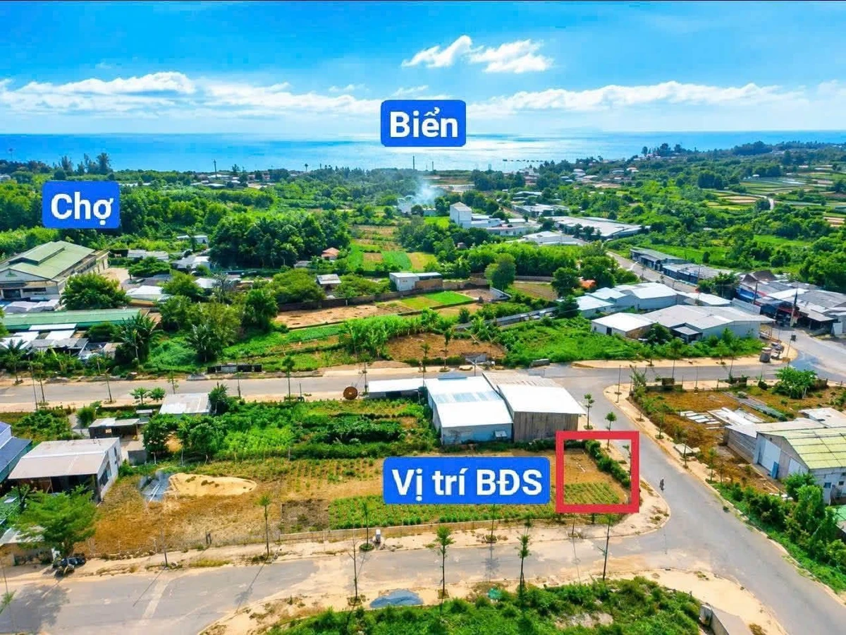 Bán đất Bình Sơn 251m2 góc 2 mặt đường 2 tỷ - Ảnh 1