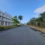 Bán cặp nền 260m2 có 2 sổ hồng, 2 nhà tiền chế, khu Tài Lộc, Phường Lý Văn Lâm, Cà Mau - Ảnh thu nhỏ 3