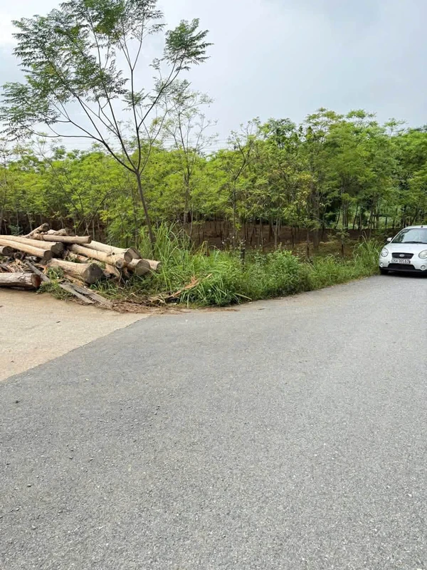 Bán đất 1174m2 hai mặt tiền Phú Thọ, 800 triệu