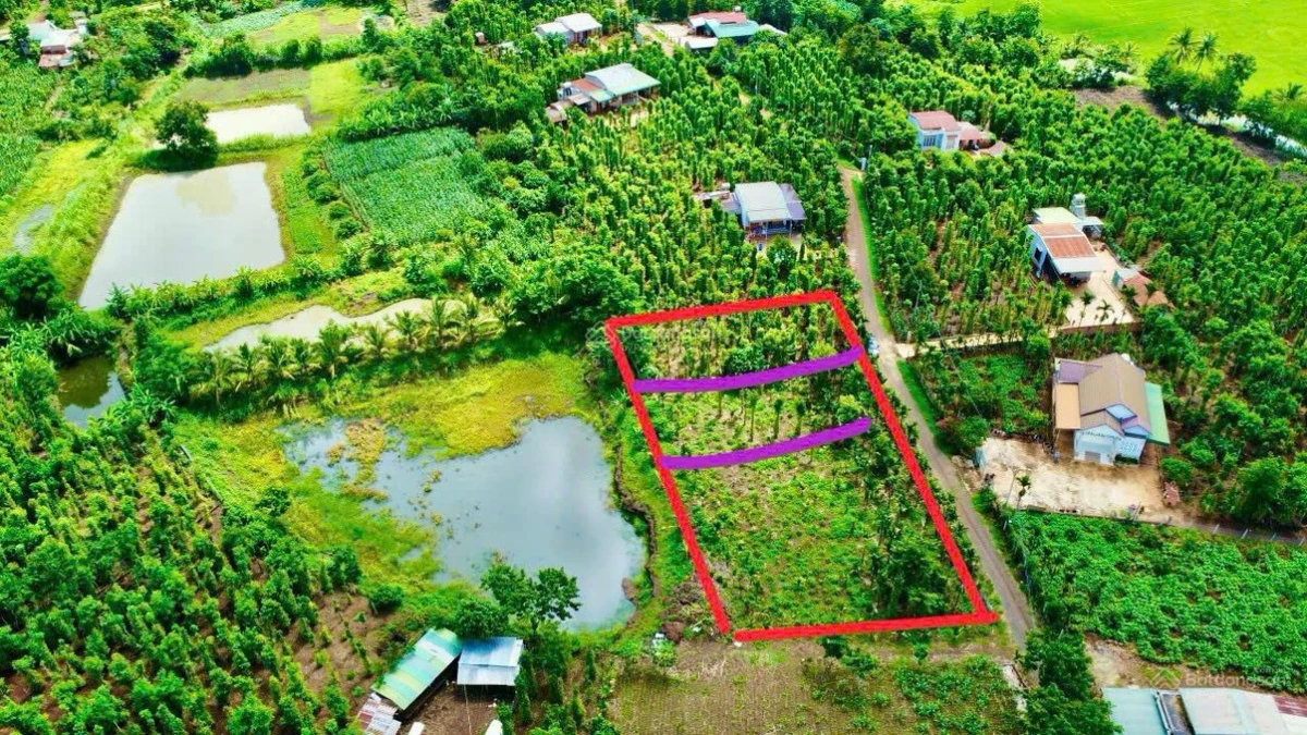 Tặng vườn cau sở hữu ngay lô đất full thổ cư giá 239tr Ea Ning Cư Kuin - 0971 801 *** - Ảnh thu nhỏ 4