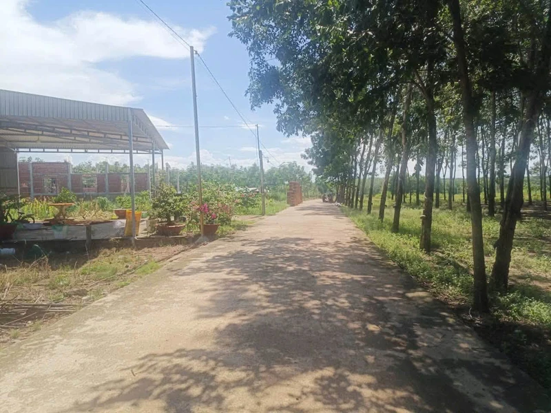 Bán đất Chơn Thành Bình Phước 205m2 420 triệu