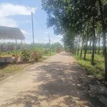 Bán đất Chơn Thành Bình Phước 205m2 420 triệu - Ảnh thu nhỏ 1