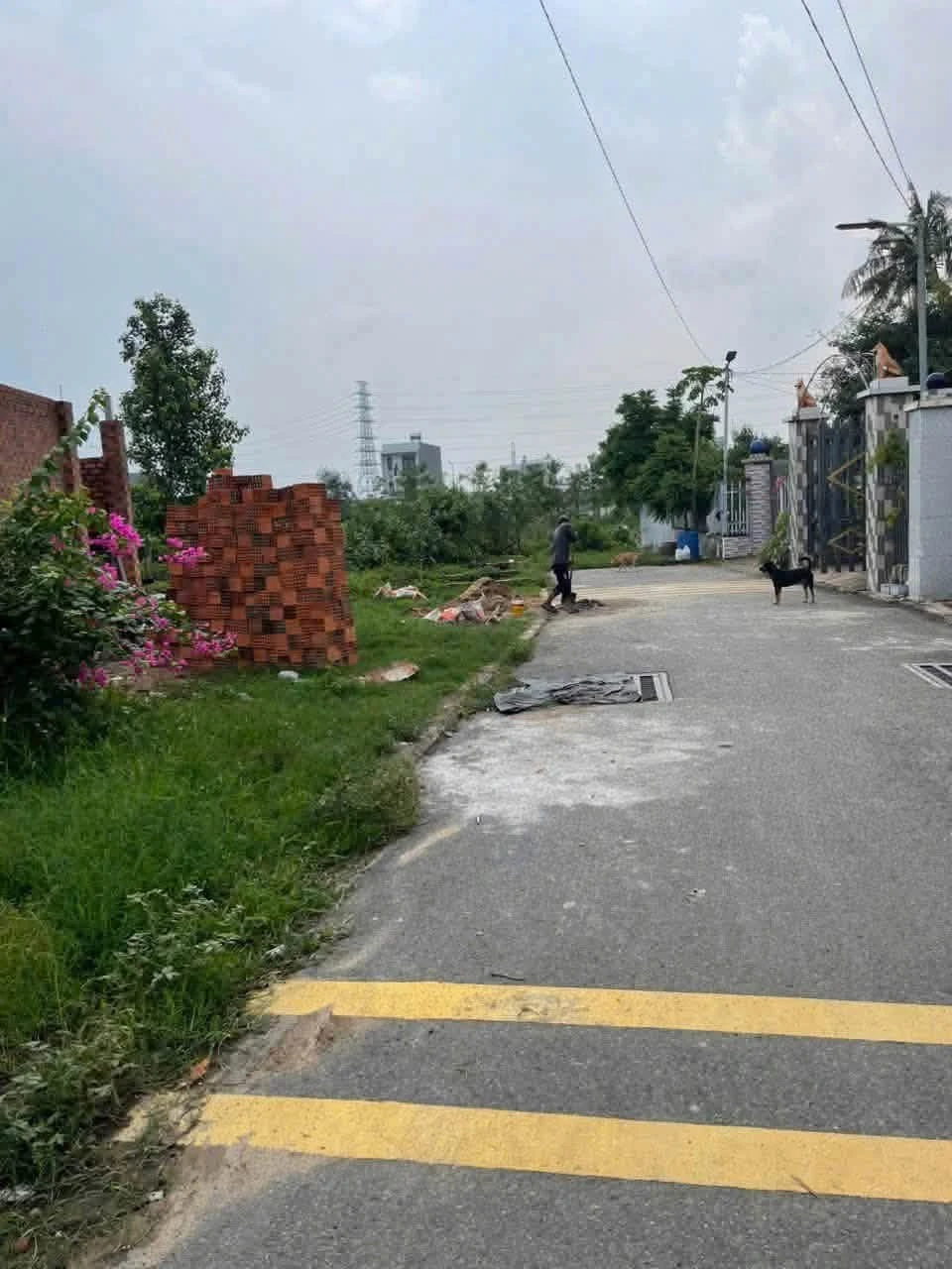 Bán đất 102,5m² đối diện Chợ Tân Bình, Dĩ An, 2,5 tỷ - Ảnh 1