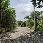 Bán đất 70m² tại Trường Hòa, Tây Ninh – 250 triệu - Ảnh thu nhỏ 3