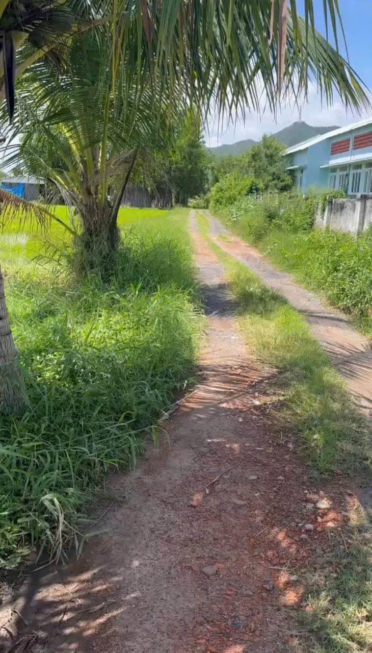 Bán 500m đất cây trồng Hồng Sơn, Lâm Đồng 135 triệu