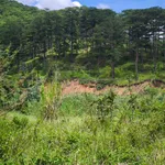 Bán lô đất mặt tiền Mimosa, 6782m², Đà Lạt - Ảnh thu nhỏ 4