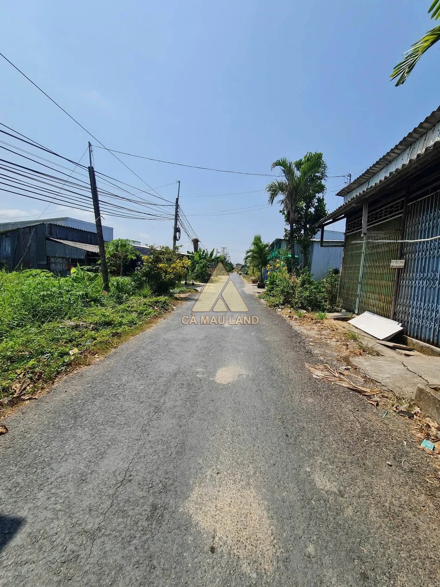 Bán đất thổ cư 648m2 đường nhựa ô tô Cà Mau 1.35 tỷ - Ảnh thu nhỏ 3