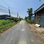 Bán đất thổ cư 648m2 đường nhựa ô tô Cà Mau 1.35 tỷ - Ảnh thu nhỏ 3
