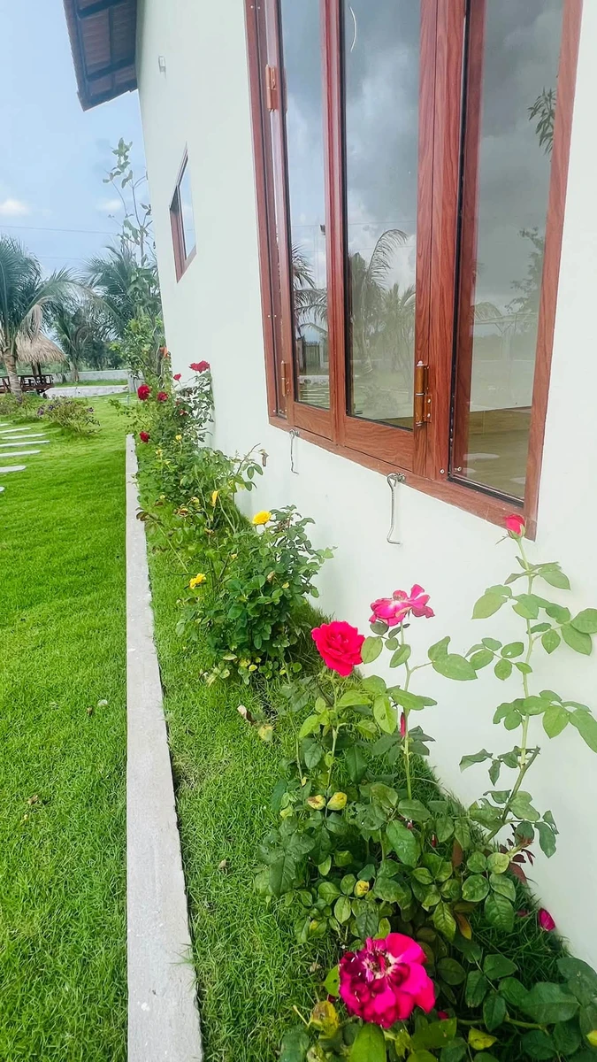 Bán vườn 1.600m² Hàm Chính, Bình Thuận 1 tỷ 790 - Ảnh thu nhỏ 2