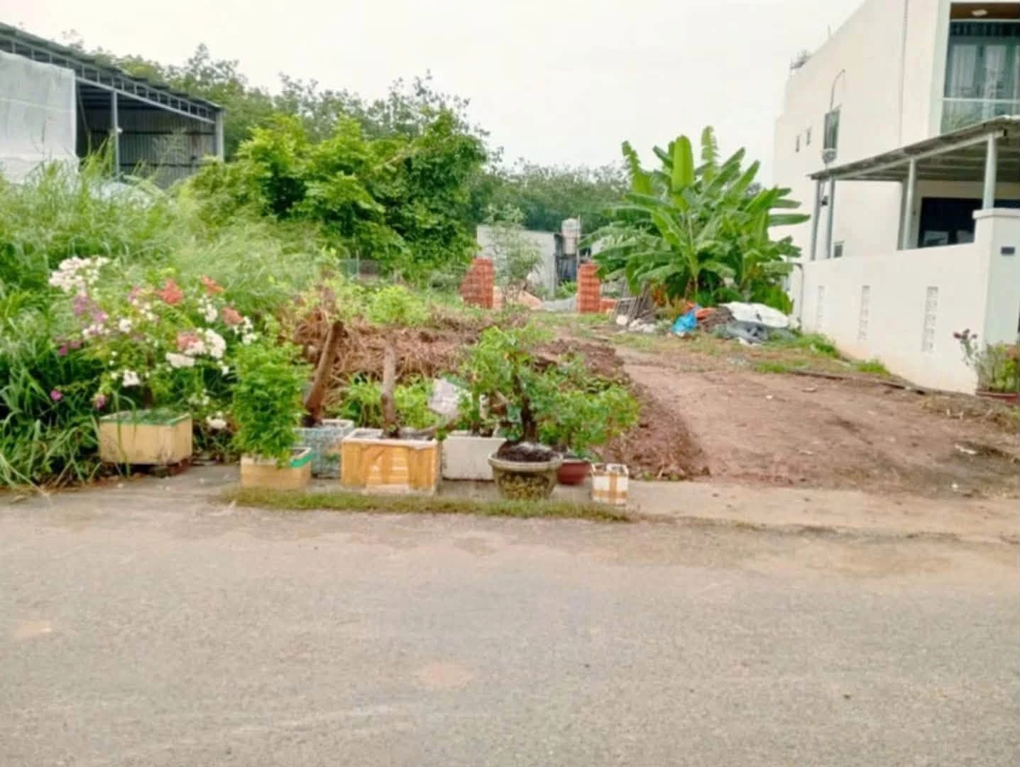 Bán đất thổ cư đường nhựa An Tây 047, Phường Tây Nam, giá 3,2 tỷ - Ảnh 1