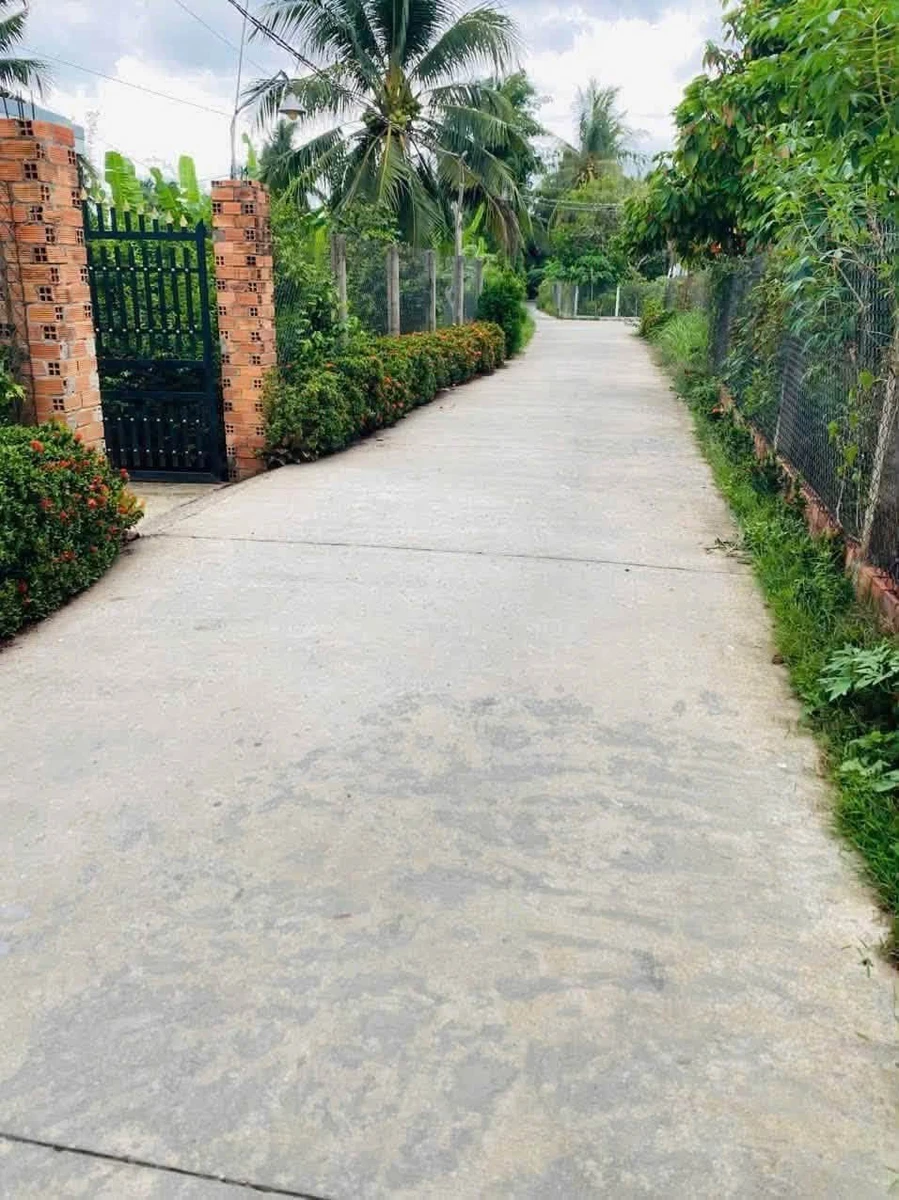 Bán nhà đất 1700m2 xã Phú Túc Hóc Môn 2 tỷ 580 triệu - Ảnh 1