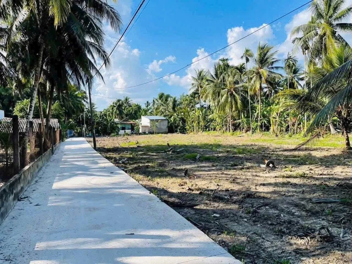 Bán đất thổ cư 160m² Xuân Đông, Chợ Gạo, Tiền Giang giá 320 triệu - Ảnh 1