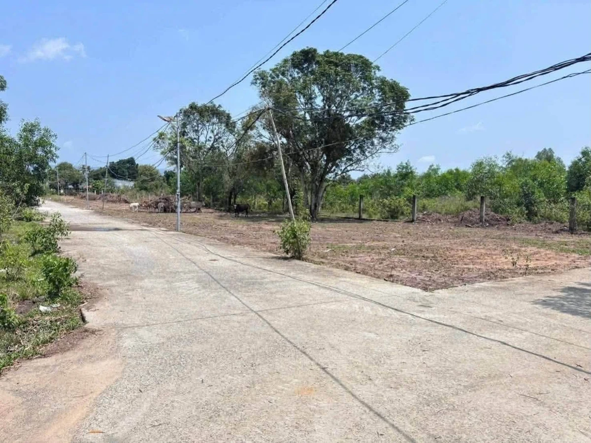 Bán lô đất ở 500m² Bến Tràm Phú Quốc, mặt tiền 30m - Ảnh thu nhỏ 3