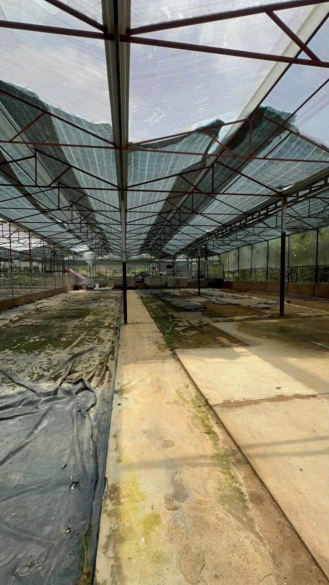 Bán gấp lô đất 19.000m2 mặt tiền Mimoza, Đà Lạt, 40 tỷ - Ảnh thu nhỏ 5