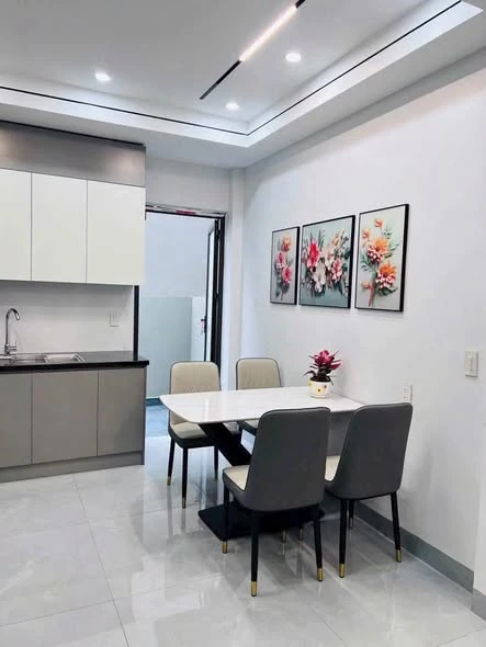 Bán nhà 3,5 tầng 45m² ngõ Nguyễn Hữu Cầu Hải Dương - Ảnh 1