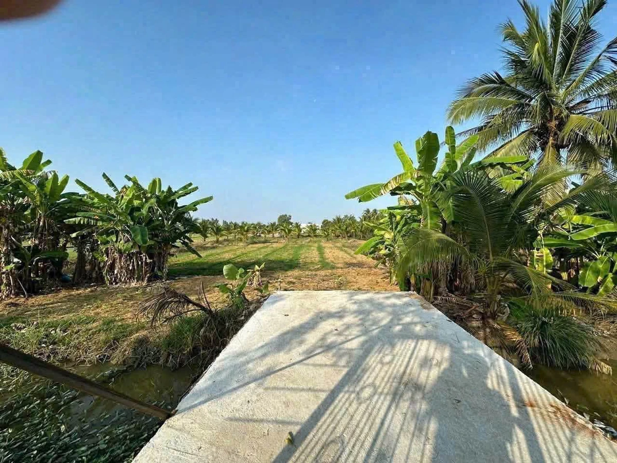 Bán đất mặt tiền 1100m2 gần Tân An, Long An - Ảnh thu nhỏ 2