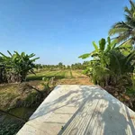 Bán đất mặt tiền 1100m2 gần Tân An, Long An - Ảnh thu nhỏ 2